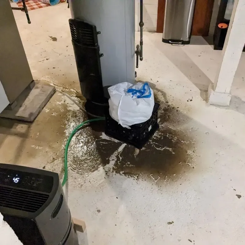 Sewage Backup Cleanup Service in Mitchell, NE